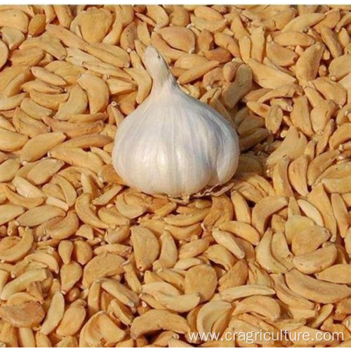 Export Dehydrating Whole Garlic Cloves Price